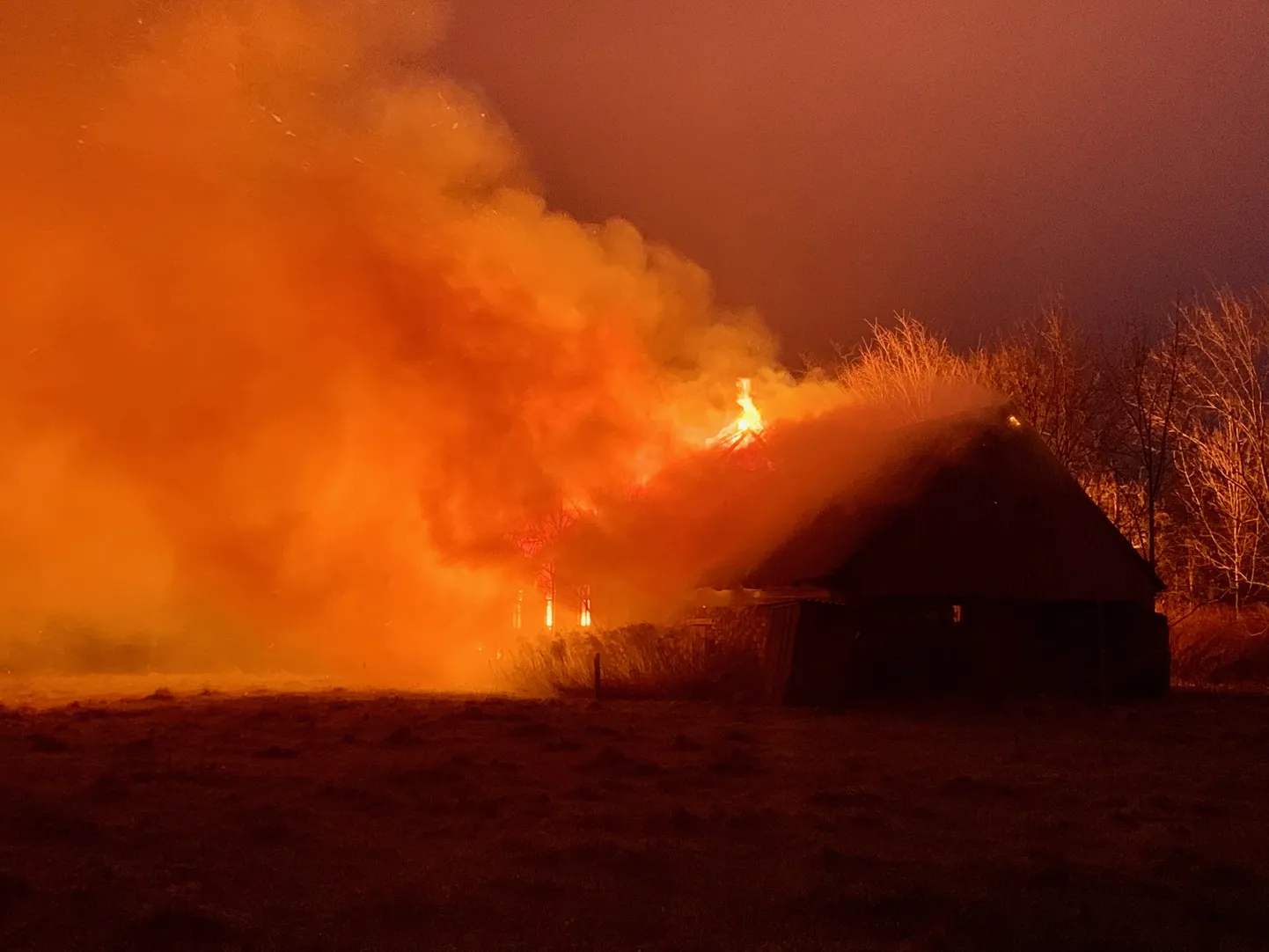 Vaivere põleng