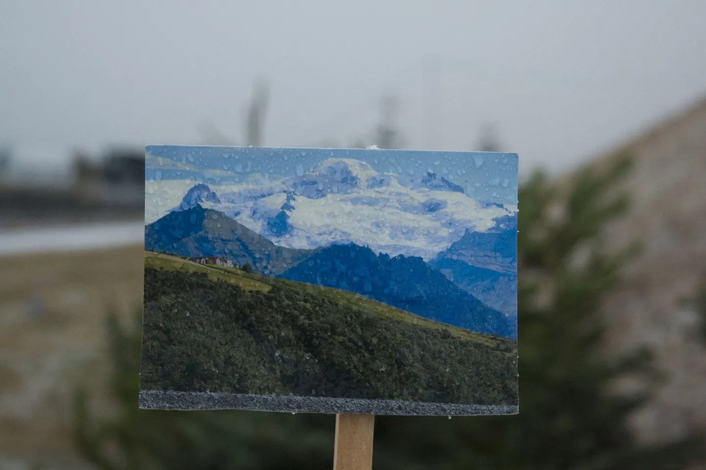 Kunstnik Sigrid Viir teos "Icelanders enjoy living in a postcard"