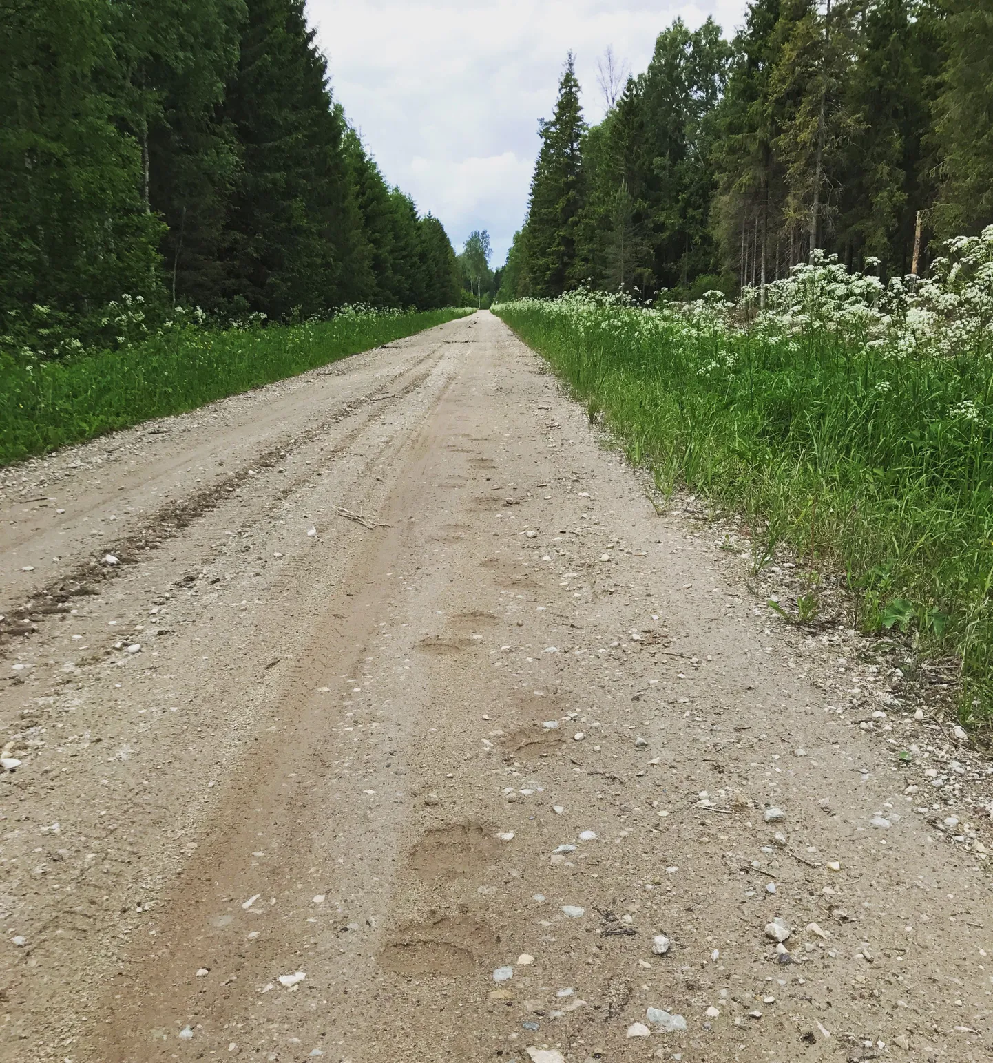 Фото статьи