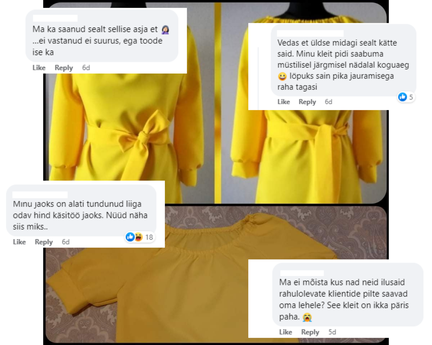 Pettunud klient sai kleidi, mis ei vastanud kirjeldusele.