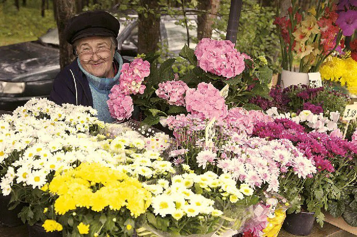 По словам Сальме, продающей цветы и венки на таллиннском кладбище Пярнамяэ, из широкого ассортимента ее прилавка наиболее популярны сейчас хризантемы и альпийские фиалки.
