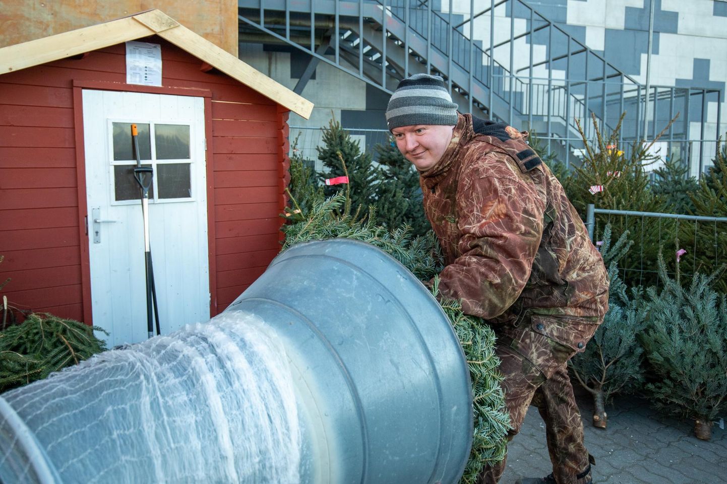 Põhjakeskuse ees jõulupuid pakkunud mesinik Riho Vaimel ütles, et nõudlus potikuuskede järele aastatega kasvab.