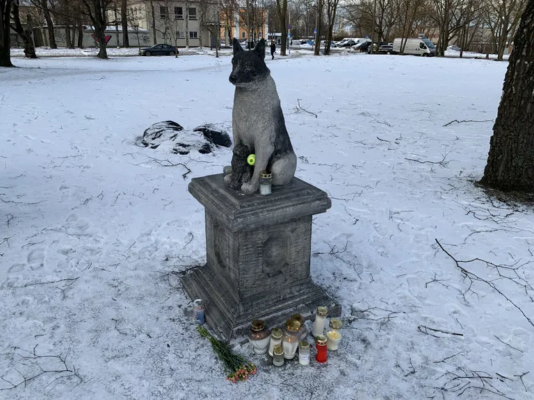 Памятник псу Жорику, 18.01.2022.