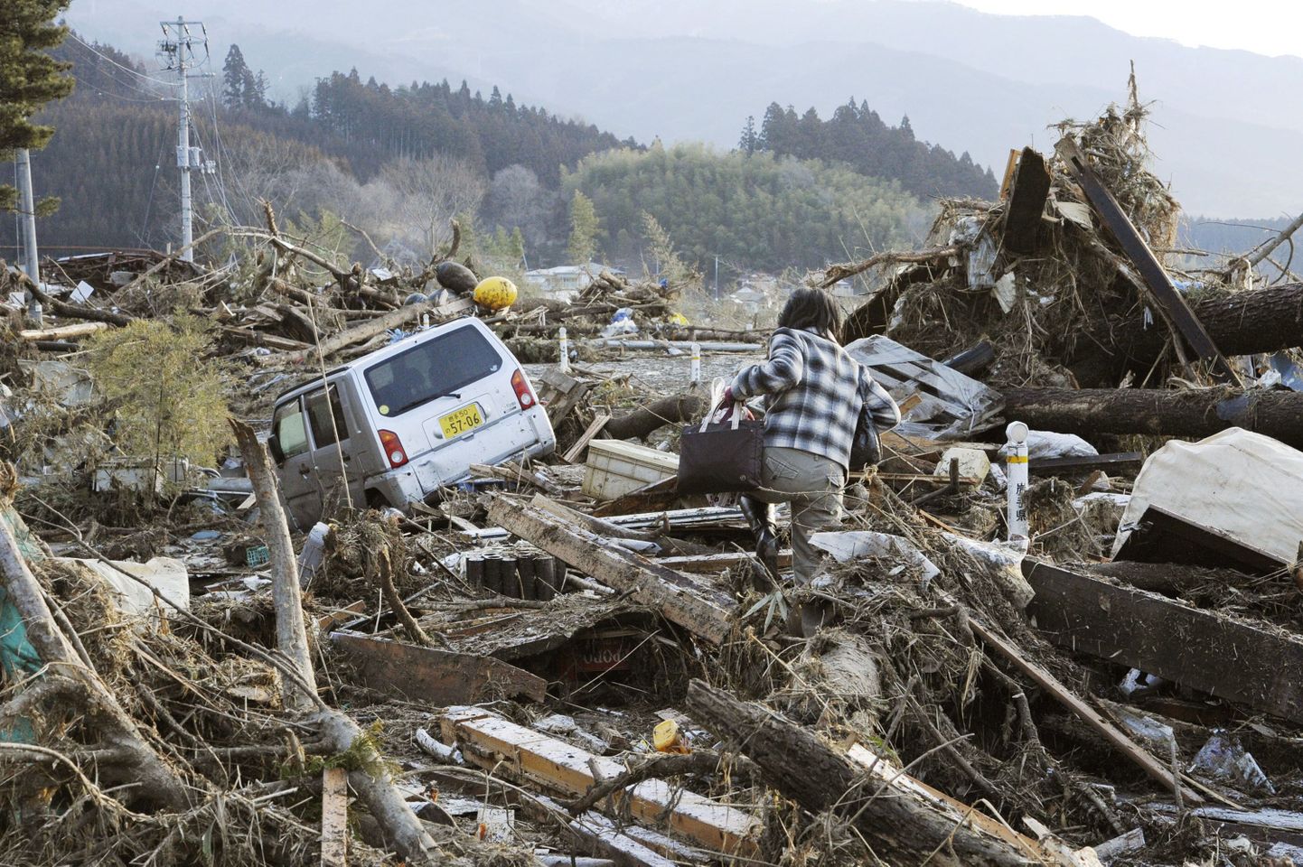 Последствия землетрясения и цунами в Японии