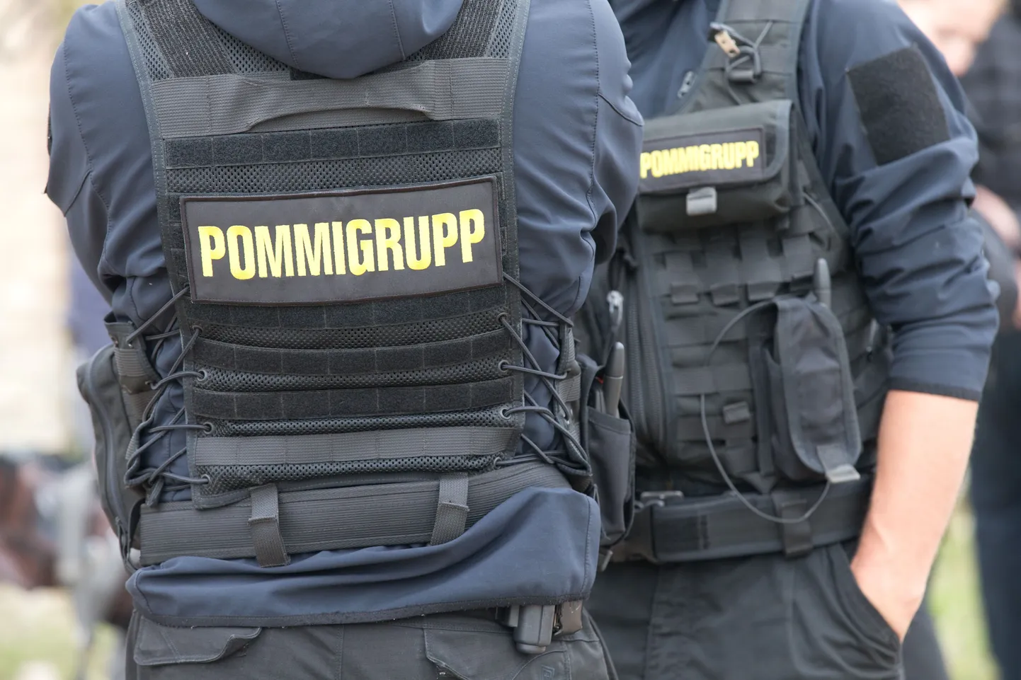 Pommigrupp. Foto on illustratiivne