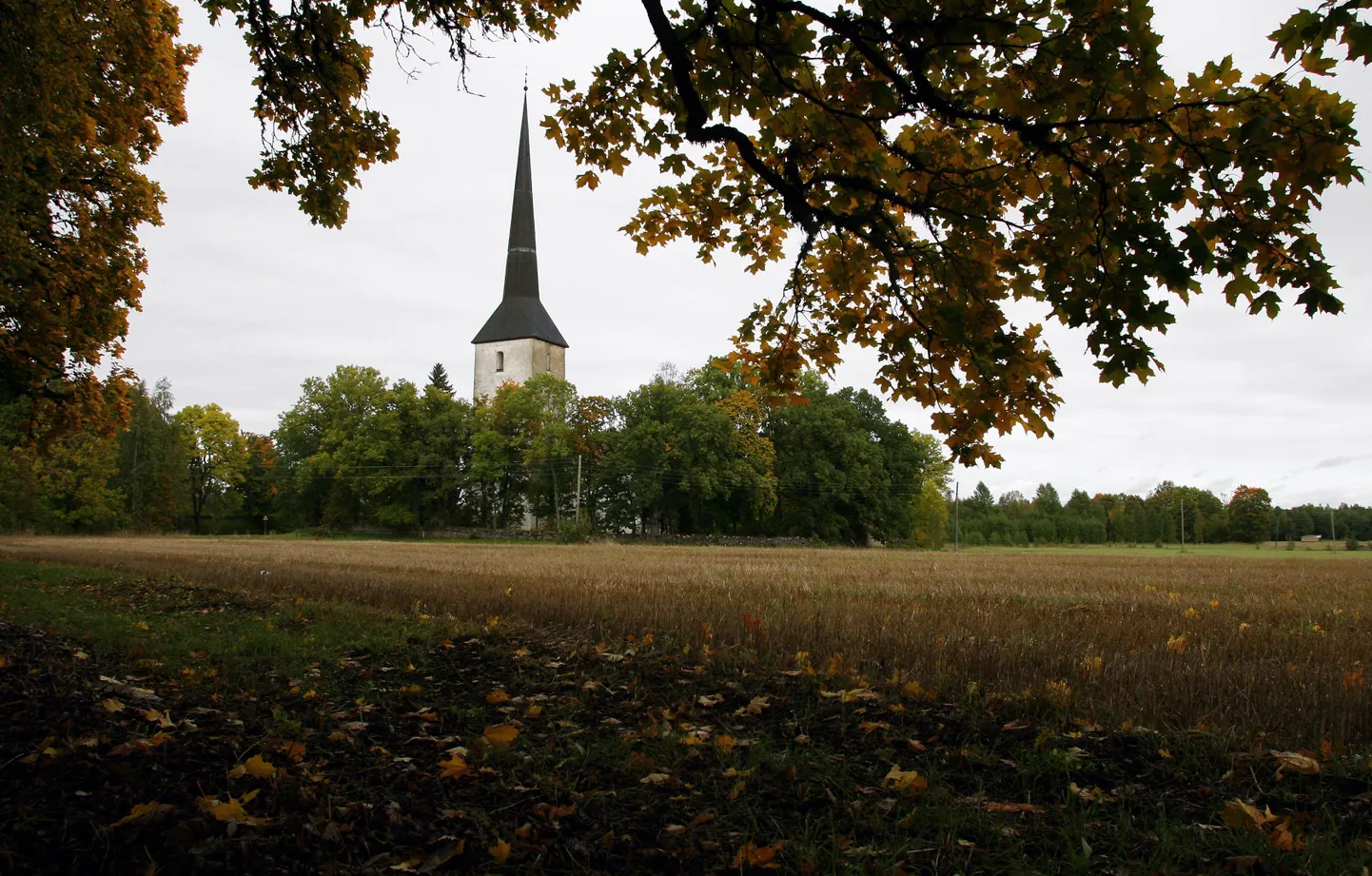Pilistvere.