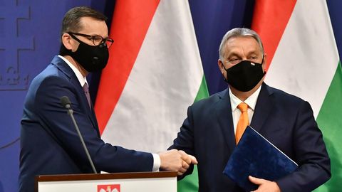 Poola ja Ungari mängivad liikmesriikide kannatusega