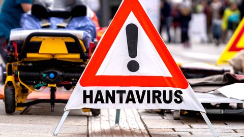 Newsweek: hantaviiruse nullpatsient on Hollandi ornitoloog Leo Schilperoord