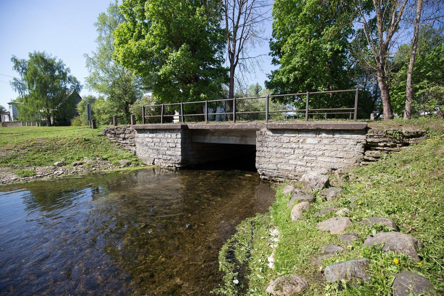 7,5 kilomeetrit pikk Soolikaoja läbib Rakvere linna ning suubub Selja jõkke. Projekti raames tehakse uuringud ja töötatakse välja leevendavad meetmed veekogu seisundi parandamiseks.