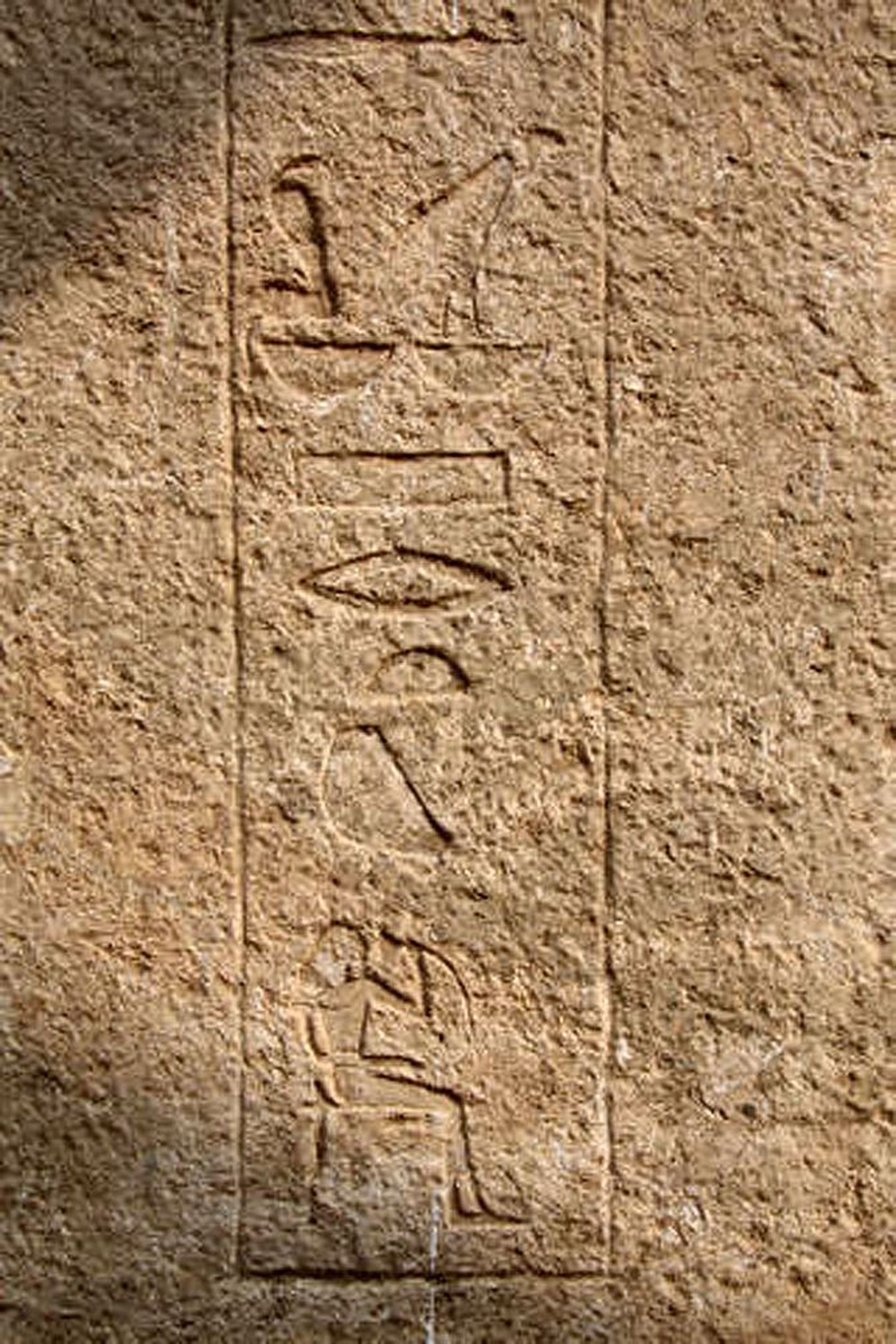 Egiptusest leiti vanim vaaraod kujutav kaljujoonis