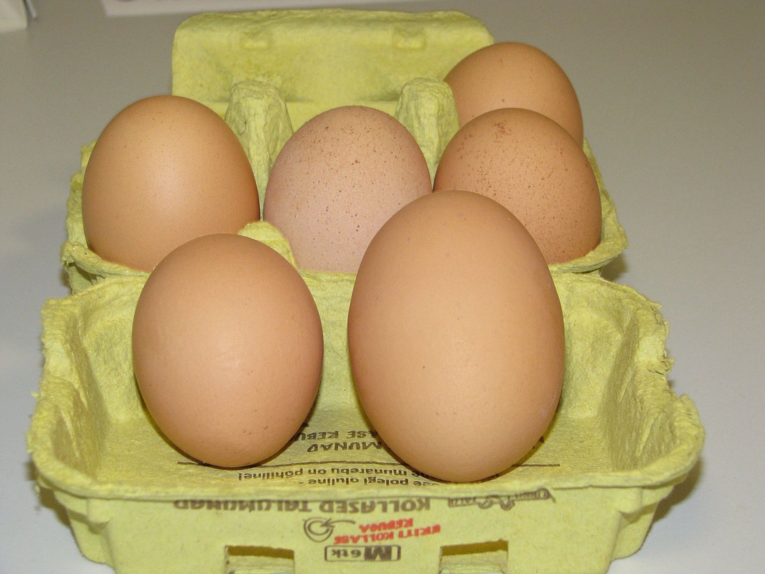 Halinga vallas munes vabapidamisel olev talukana hiigelmuna, mis on tavapärasest munast kaks korda raskem.