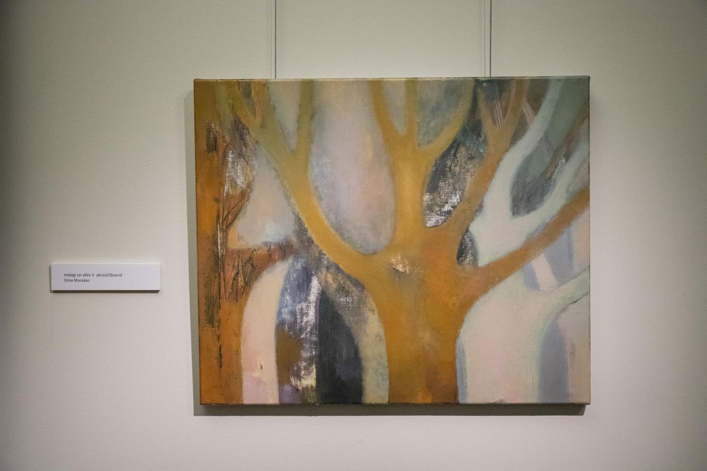 Stina Muraka maal näitusel "Kaos on mu sõber ja korda armastan ka" Rakvere teatris.