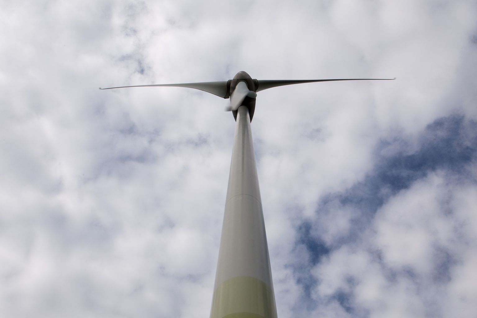 Hanilas maakodu omav Reet Raukas seljatas riigikohtus Esivere tuulepargi omaniku Skinest Energia.