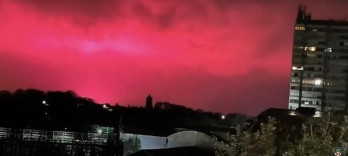 Artikli foto