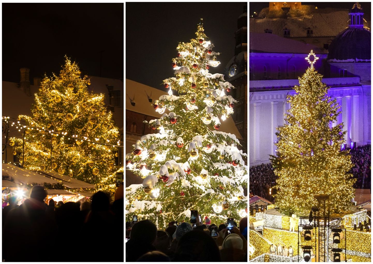 Рождественские елки Таллинна, Риги и Вильнюса